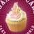 Emma's rice flour Fat Free Fairy cakes